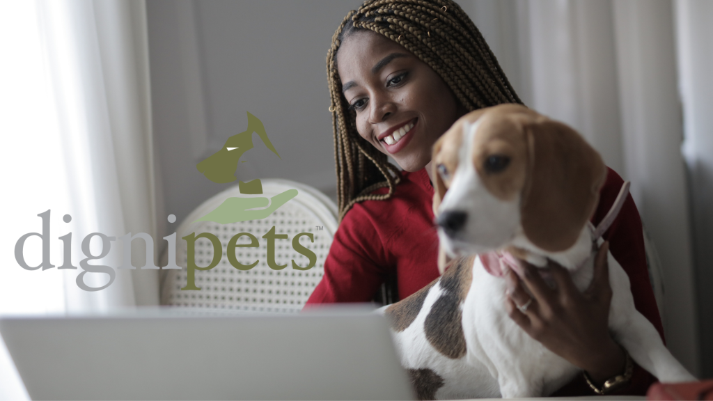 Online vet consults